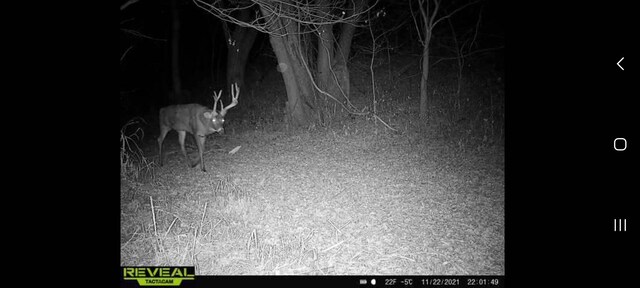 000 Odessa Pl, Bouton, IA 50039 - photo 33
