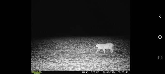 000 Odessa Pl, Bouton, IA 50039 - photo 34