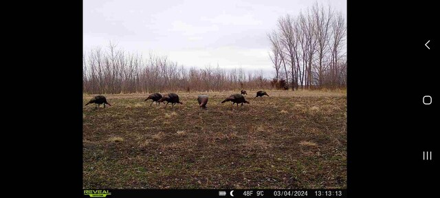000 Odessa Pl, Bouton, IA 50039 - photo 35
