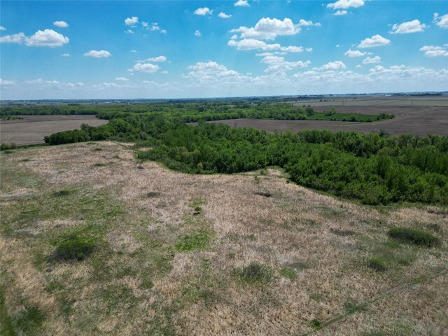 000 Odessa Pl, Bouton, IA 50039 - photo 23