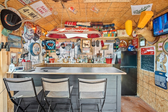 bar featuring a dry bar and freestanding refrigerator