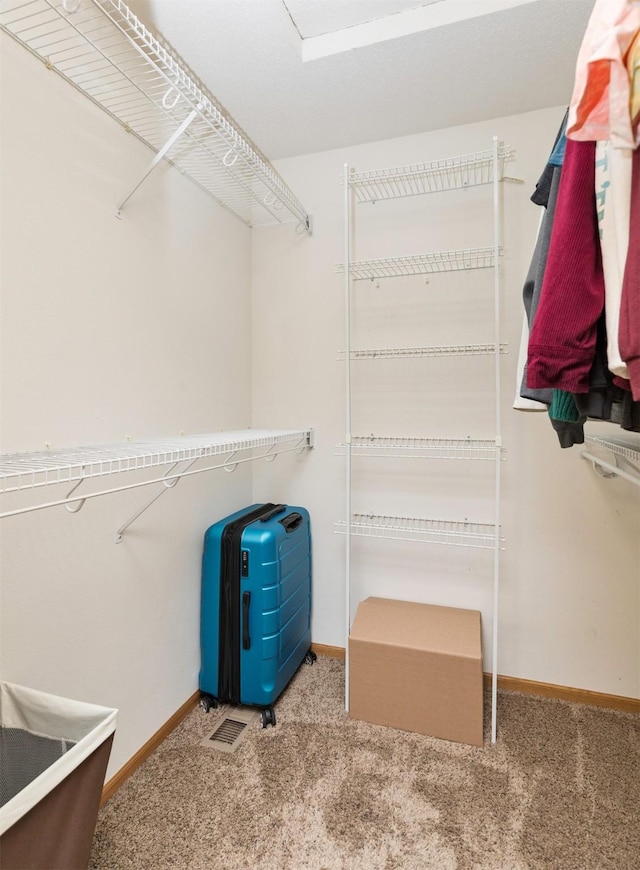 spacious closet with carpet