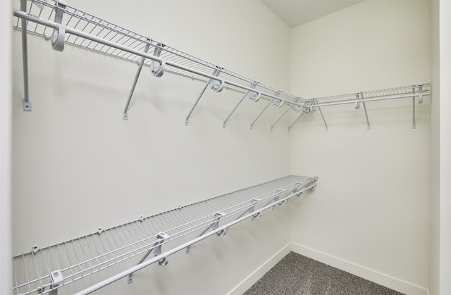 view of spacious closet