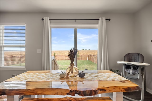 dining area with a healthy amount of sunlight