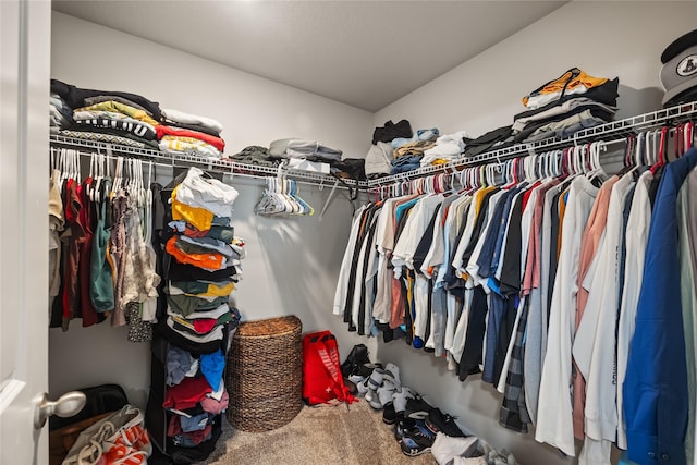 walk in closet with carpet flooring