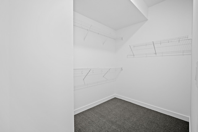 spacious closet featuring dark colored carpet