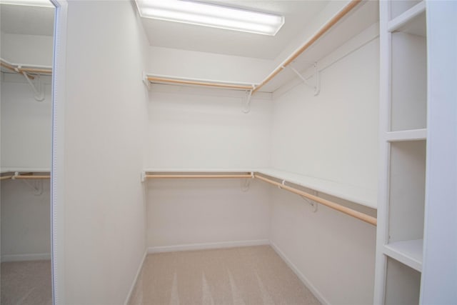 spacious closet featuring light carpet