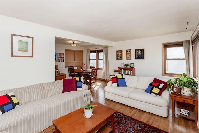 living room featuring wood finished floors