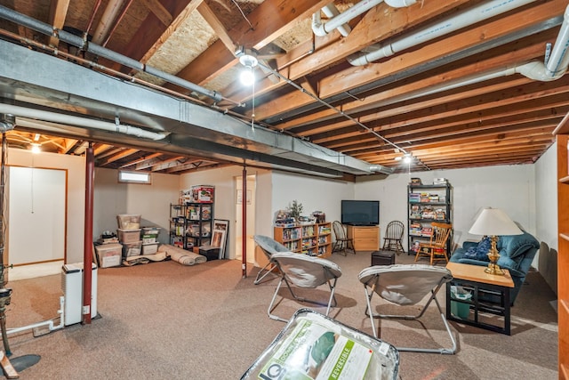 unfinished basement featuring carpet floors