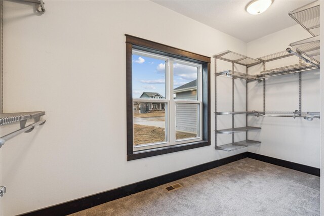 spacious closet with visible vents and carpet