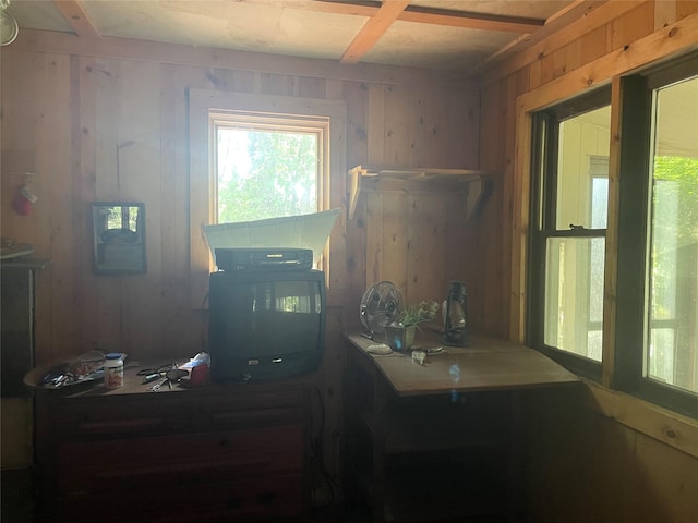 office space featuring plenty of natural light and wood walls