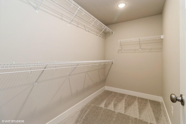 136 Creekside Dr, Bondurant, IA 50035 - walk in closet featuring carpet flooring