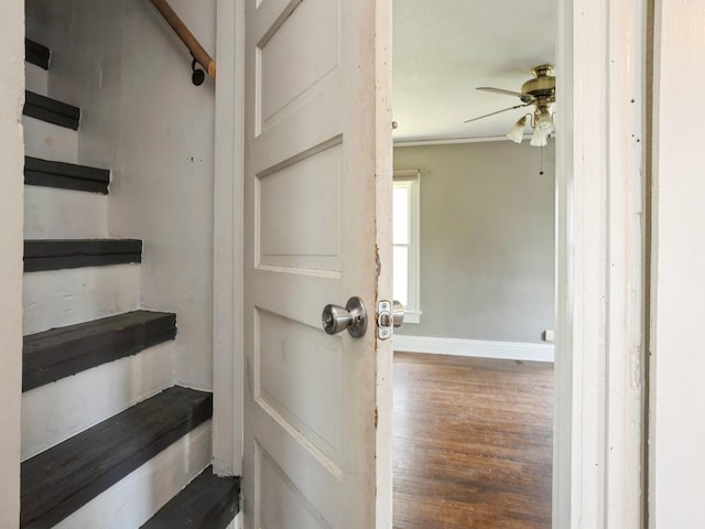 stairway featuring baseboards, wood finished floors, and ceiling fan