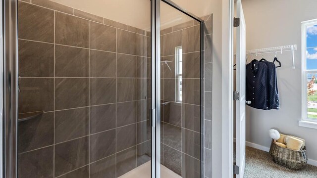 full bathroom featuring a shower stall