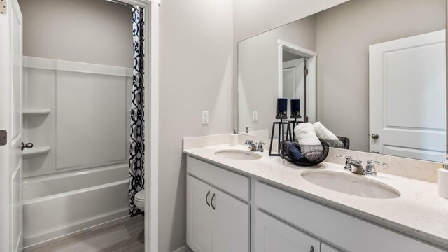 bathroom featuring double vanity, toilet, wood finished floors, and a sink