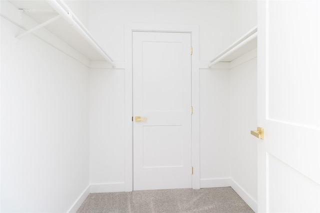 walk in closet with carpet flooring