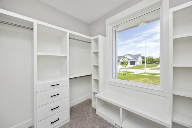 3605 NE 12th St, Ankeny, IA 50021 - photo 26