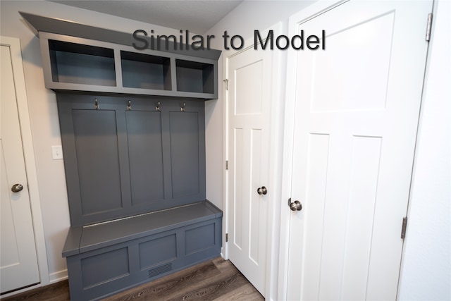mudroom featuring dark wood-type flooring