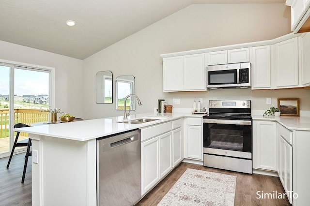 1911 20th Ave SE, Altoona, IA 50009 - kitchen featuring a healthy amount of sunlight, vaulted ceiling, a sink, a peninsula, and stainless steel appliances