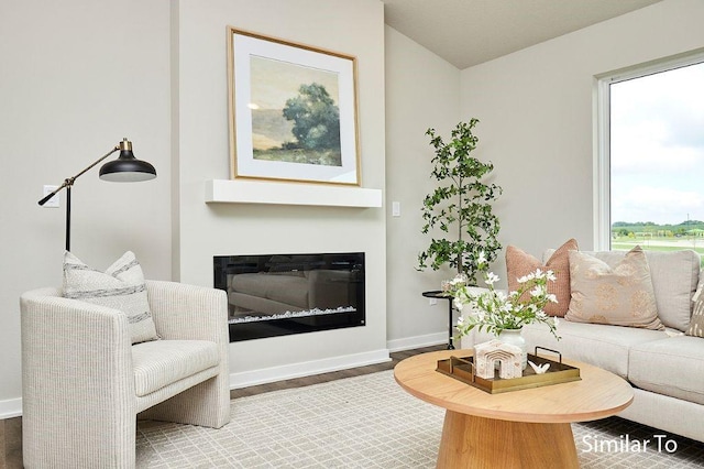 1911 20th Ave SE, Altoona, IA 50009 - living room featuring plenty of natural light, baseboards, a glass covered fireplace, and wood finished floors