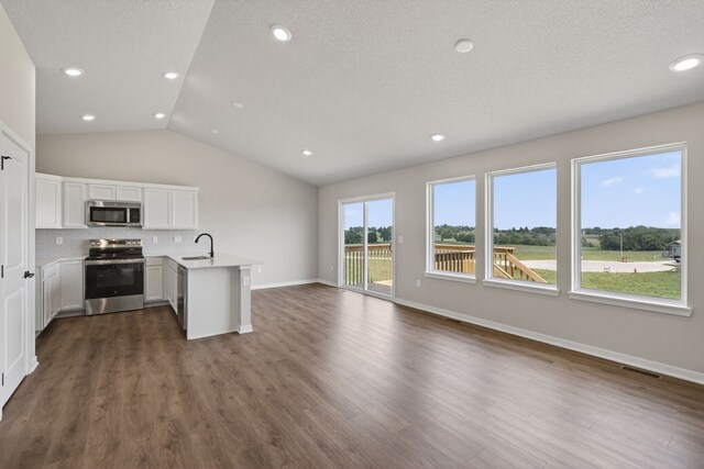 1911 20th Ave SE, Altoona, IA 50009 - kitchen with appliances with stainless steel finishes, a peninsula, open floor plan, lofted ceiling, and light countertops