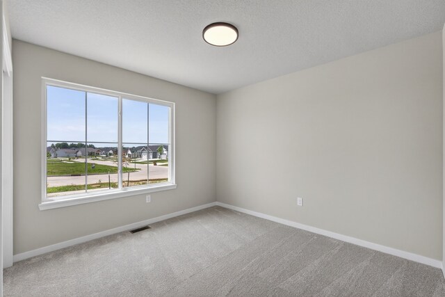 1911 20th Ave SE, Altoona, IA 50009 - empty room with carpet and healthy amount of natural light