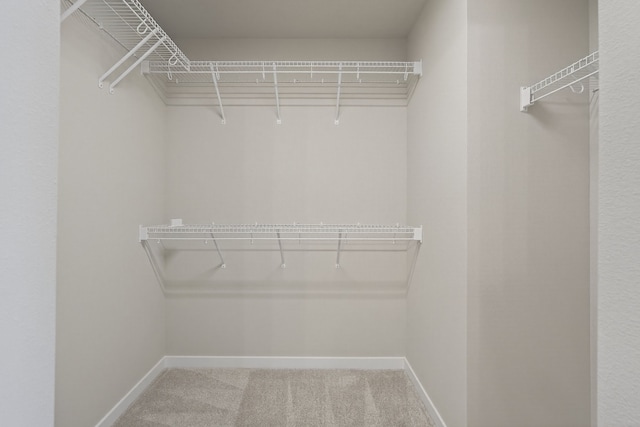 1911 20th Ave SE, Altoona, IA 50009 - spacious closet featuring carpet floors