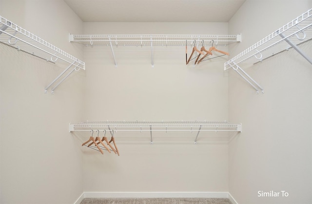spacious closet featuring carpet floors