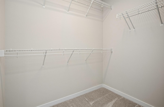 805 Linden St, Carlisle, IA 50047 - photo 27