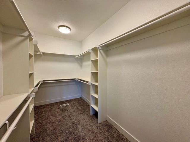 17595 Aurora Dr, Clive, IA 50325 - walk in closet with dark colored carpet