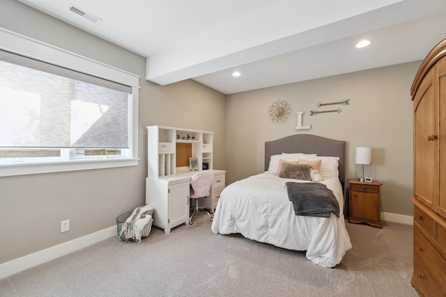 2847 NW 75th Pl, Ankeny, IA 50023 - photo 31