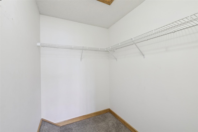 811 Burr Oaks Dr Unit 1110, West Des Moines, IA 50266 - walk in closet with carpet flooring