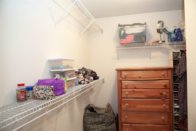 2819 Ashland Ct, Altoona, IA 50009 - view of walk in closet