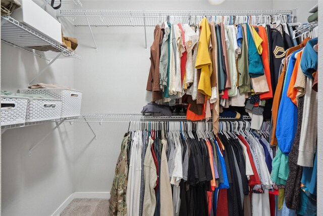 spacious closet with carpet floors