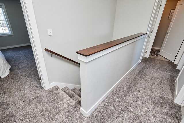 stairway with baseboards and carpet flooring