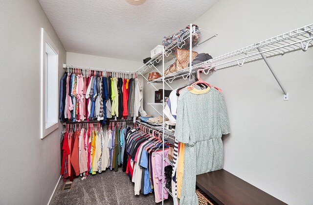spacious closet with carpet flooring