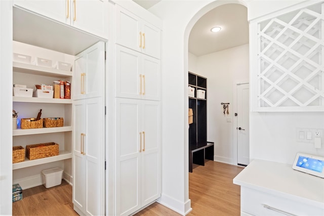 25019 Eagle Vista Dr, Adel, IA 50003 - hall featuring light wood-type flooring and arched walkways