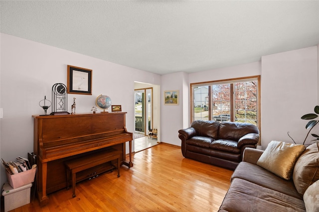 317 59th St, West Des Moines, IA 50266 - living room featuring light wood-type flooring
