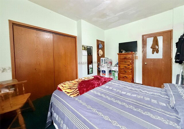 603 E Church St, Marshalltown, IA 50158 - bedroom with a closet