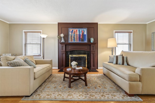 living room with a large fireplace, crown molding, and wood finished floors