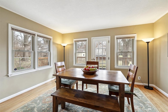 dining room featuring light wood-type flooring, a healthy amount of sunlight, and baseboards
