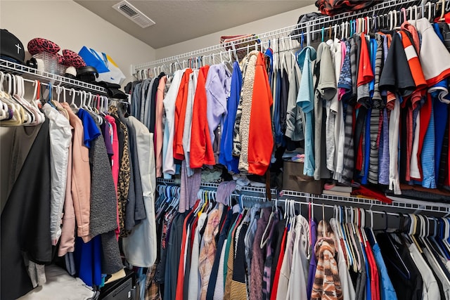 17127 Blue Sage Ln, Urbandale, IA 50323 - view of walk in closet