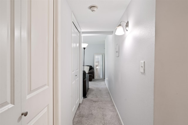3405 Woodland Ave Unit 27, West Des Moines, IA 50266 - hallway with light colored carpet and baseboards