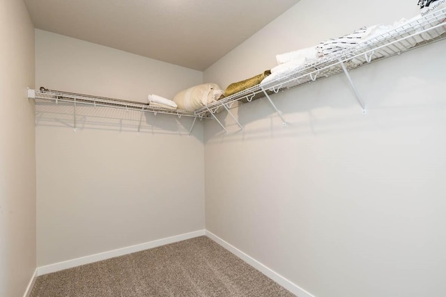 14521 Ironwood Ct, Urbandale, IA 50111 - walk in closet featuring carpet