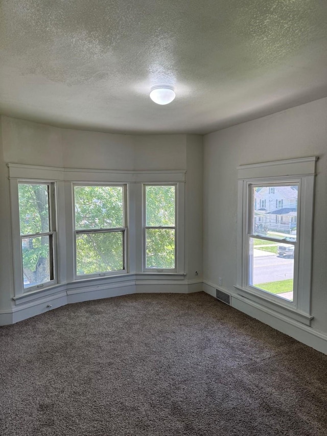 500 1st Ave W, Newton, IA 50208 - empty room with plenty of natural light, carpet flooring, visible vents, and a textured ceiling