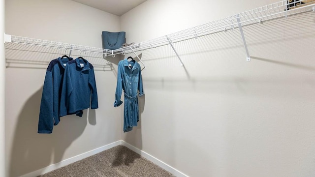 walk in closet with carpet flooring