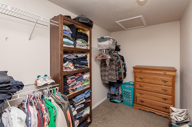 19075 Jewell Dr, Earlham, IA 50072 - photo 15
