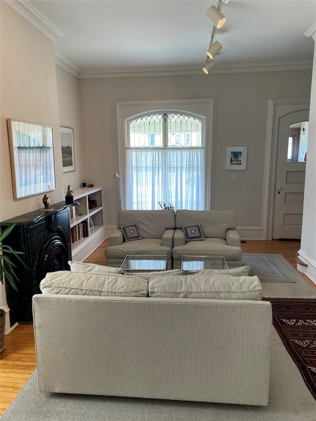living area featuring rail lighting, ornamental molding, and wood finished floors