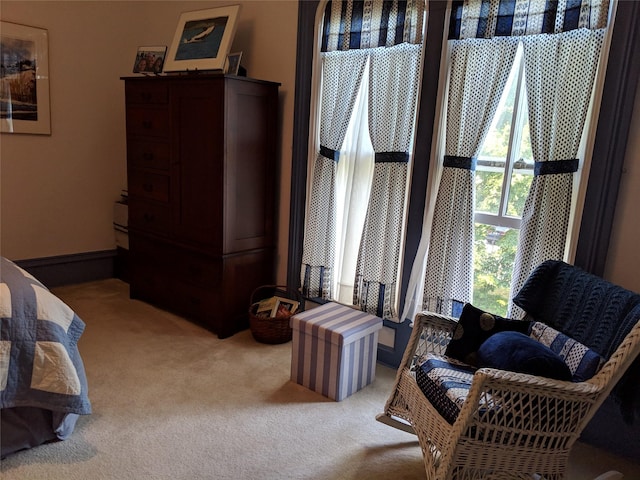 living area with light carpet