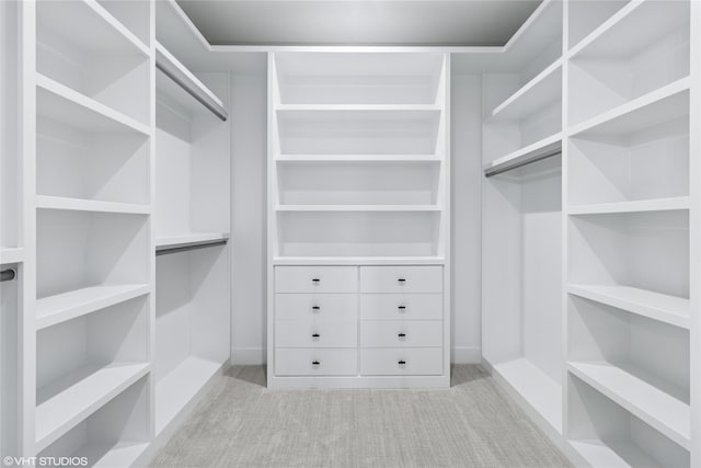 spacious closet with carpet floors